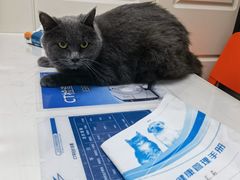 -伟伟宠物医院·CT影像中心·瑞派犬猫综合性门诊(汉口总院)