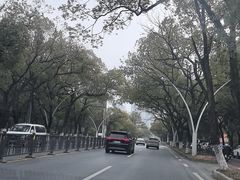 -北京烤鸭店(新桥家园·浦口店)