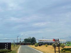 -莲花岛景区