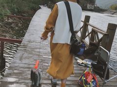 -泽雅景区