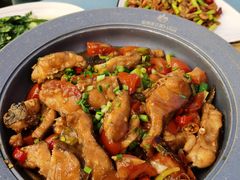 阳朔美味啤酒鱼-谢三姐金奖啤酒鱼(总店)