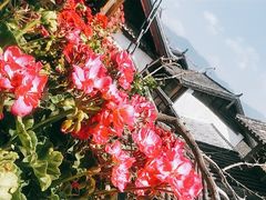 -艾莱克咖啡面包坊·甜心对白
