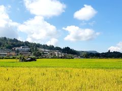 -无有景观餐厅·铜瓢牛肉·下午茶