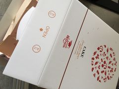 -维尔纳斯·生日蛋糕动物奶油冰淇淋蛋糕(人大店)