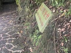 -海口火山口国家地质公园