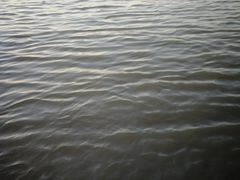 -人民防洪胜利纪念塔