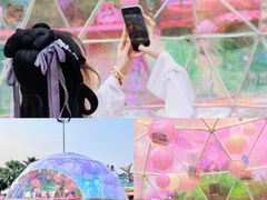-美的鹭湖森林度假区