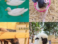 -HERRE·FARM 赫尔露营农场·团建聚会包场