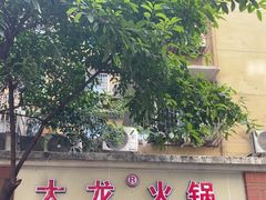 -大龙火锅(老店)