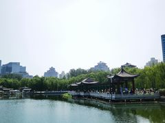 -莲花池公园