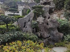 -南山植物园