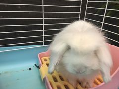 -锦尚阁烤鱼•天津菜(宣武门胡同店)