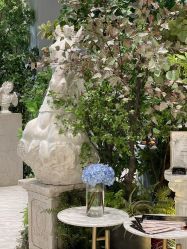 点击看大图 -MuseMarry婚纱(前海嘉里中心店)