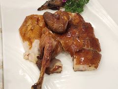 -华南师范大学石牌校区陶园