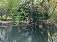 -八大山人梅湖景区
