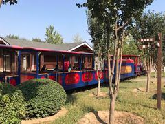 -永定河休闲森林公园