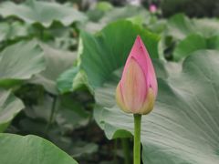 -九华山酒店温泉