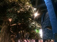广东科学中心-广东科学中心