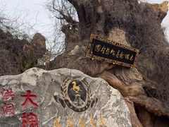 -大槐树寻根祭祖园