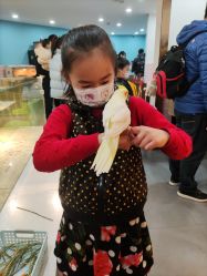 -Moni星球萌宠·小马宝莉·灵蛇·高端高阶全萌宠互动体验俱乐部(红豆国际广场店)