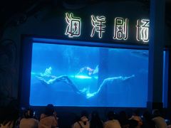 -洛阳龙门海洋馆