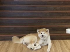 -YCHL Studios健身工作室(市二宫店)