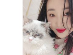 -藏猫猫咖啡主题馆(中央大道店)