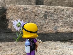 -大泽山风景名胜区