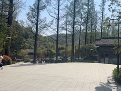 -东明山森林公园