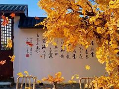 -炎钬堂亚健康管理(白银路店)