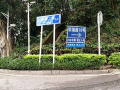 -银湖山郊野公园-相思林