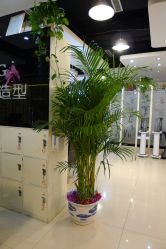 P1060955-DRG达人馆造型