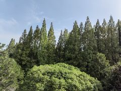 -上海虹桥迎宾馆