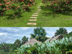 -中国科学院西双版纳热带植物园
