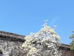 -何园