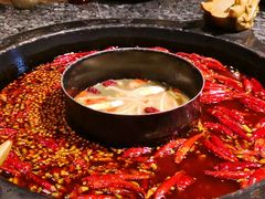 -蜀大侠火锅(建设路第五大道店)