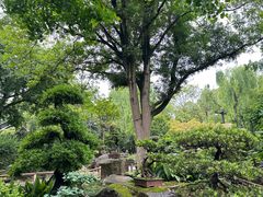 -成都武侯祠博物馆