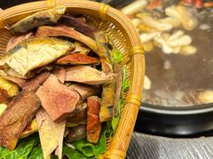 -滇野云南野生菌餐厅(陕西南路店)