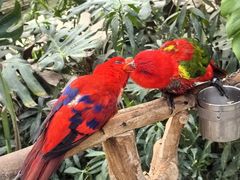 -南宫五洲植物乐园