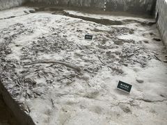 -金沙遗址博物馆