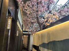 -院里寻菜·精致庭院菜(观沙岭店)