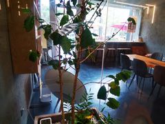 -Infica Coffee