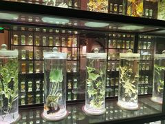 -广东中医药博物馆
