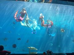 -瑞德姆美人鱼海底演艺主题餐厅(亚龙湾店)