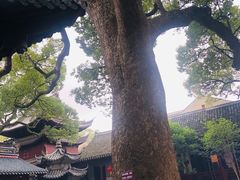 -普陀山慧济禅寺