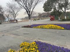 -东湖落雁景区