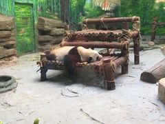 -灵玲国际马戏城
