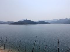 -望湖烤鱼