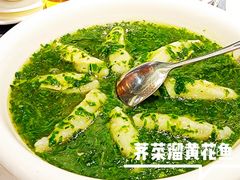 荠菜溜黄花鱼-美林阁