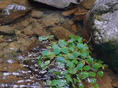 -宁波五龙潭景区